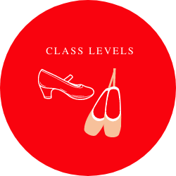 Class Levels