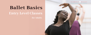 ntry Level In-person and On-Demand Courses for Adult Beginners