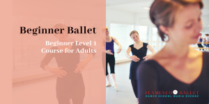 Beginner Ballet 1 for Adults