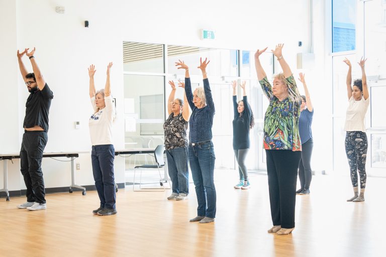 Ballet Basics Entry Level On Demand Ballet Course for Adults