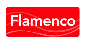 Flamenco Dance Classes