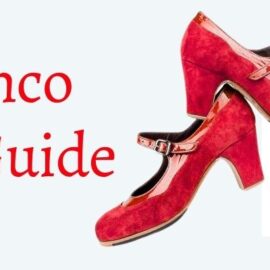 flamenco shoe guide banner