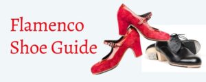 flamenco shoe guide banner