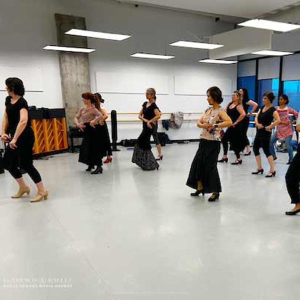 FSMO-inclas-HD-Flamenco_web